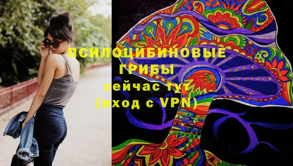 spice Кинешма