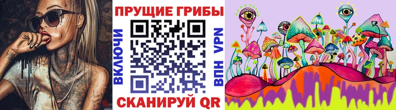 Купить закладки  Сухиничи  Галлюциногенные грибы Psilocybe 